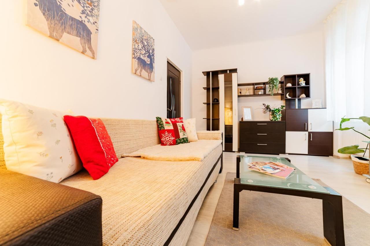 Anastasia Apartments With Parking Брашов Екстериор снимка